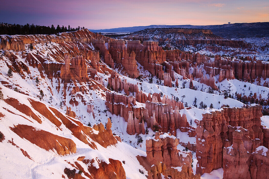 Bryce Amphitheater from Sunset Point at dawn in winter, Bryce Canyon National Park, Utah, USA