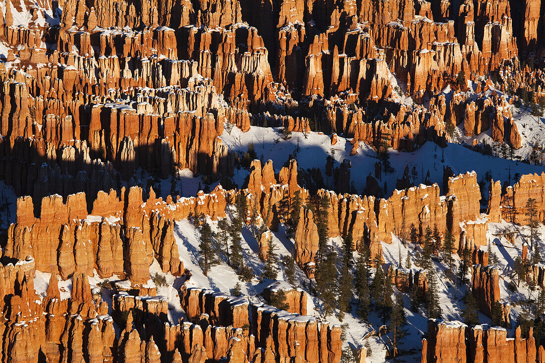 Bryce Amphitheater from Bryce Point at sunrise in winter, Bryce Canyon National Park, Utah, USA