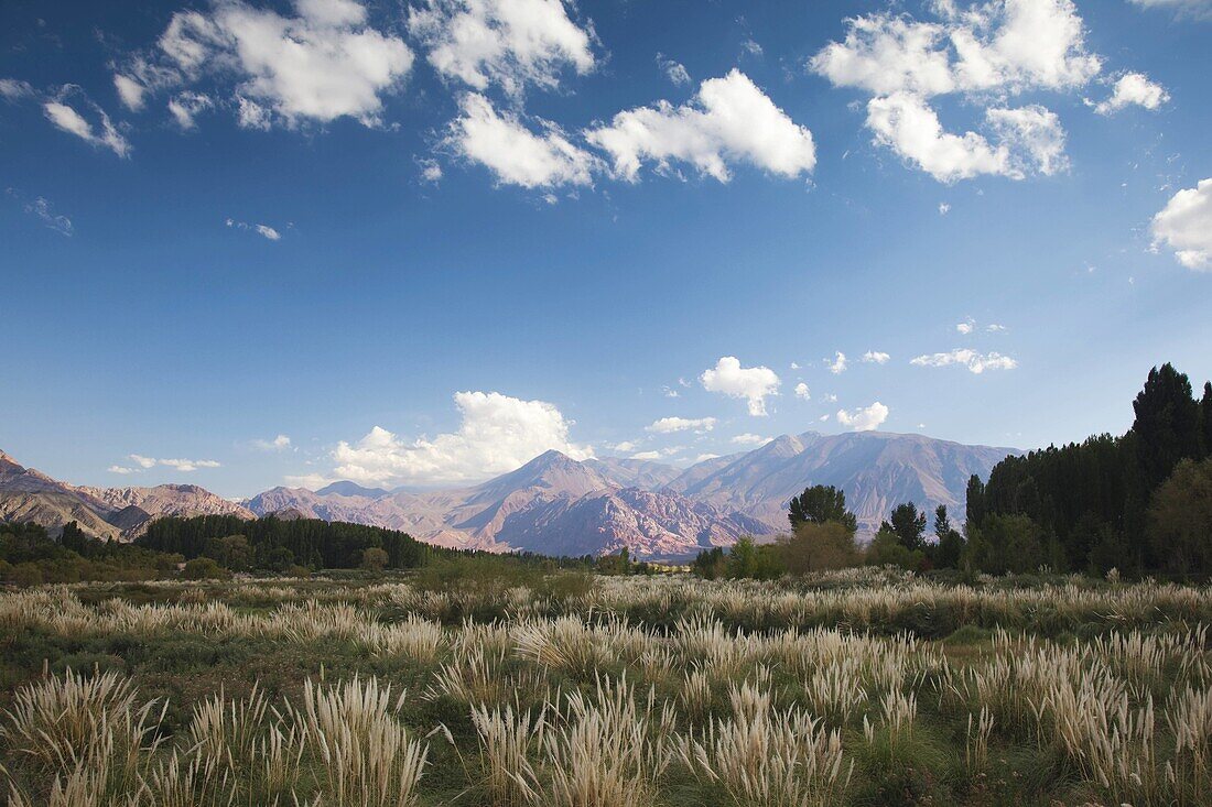 Argentina, Mendoza Province, Uspallata, Andes Mountains and Rio Mendoza river valley