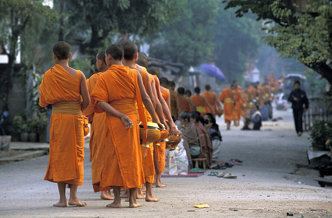 Buddhist monks collecting alms in the early morning, Luang Prabang, Laos