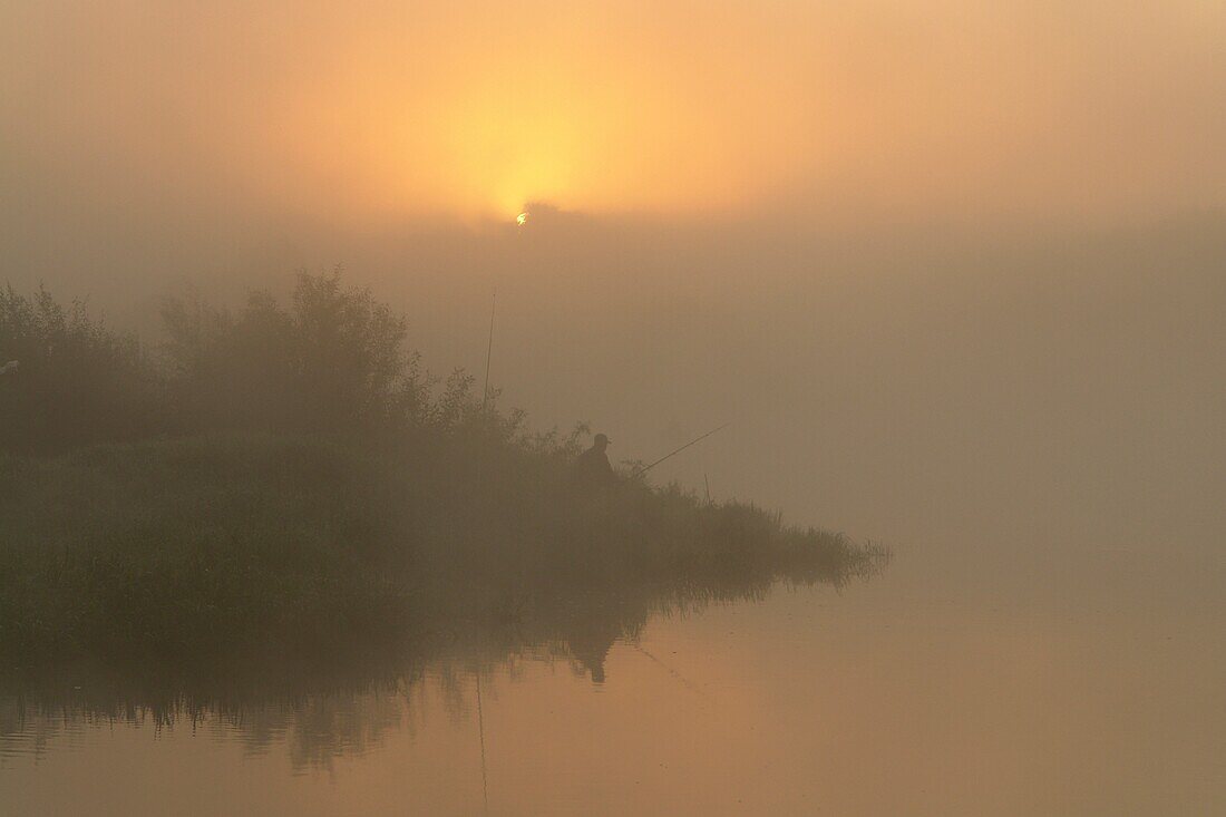A misty morning on the river Bug. Podlasie region. Eastern Poland