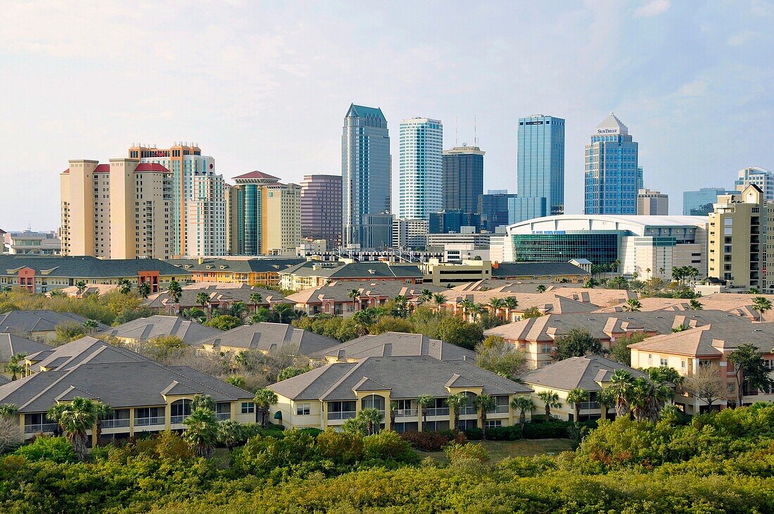Downtown Tampa Florida Skyline with Residential Homes