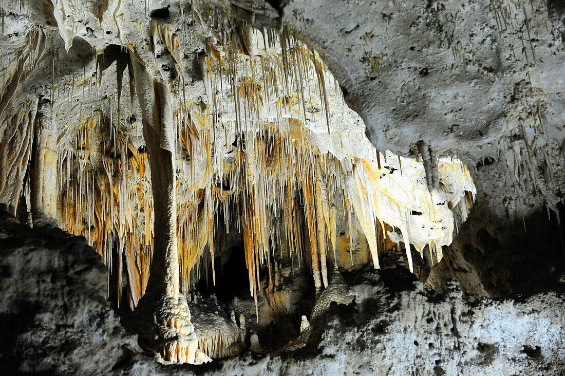 Painted Grotto Area Carlsbad Caverns National Park