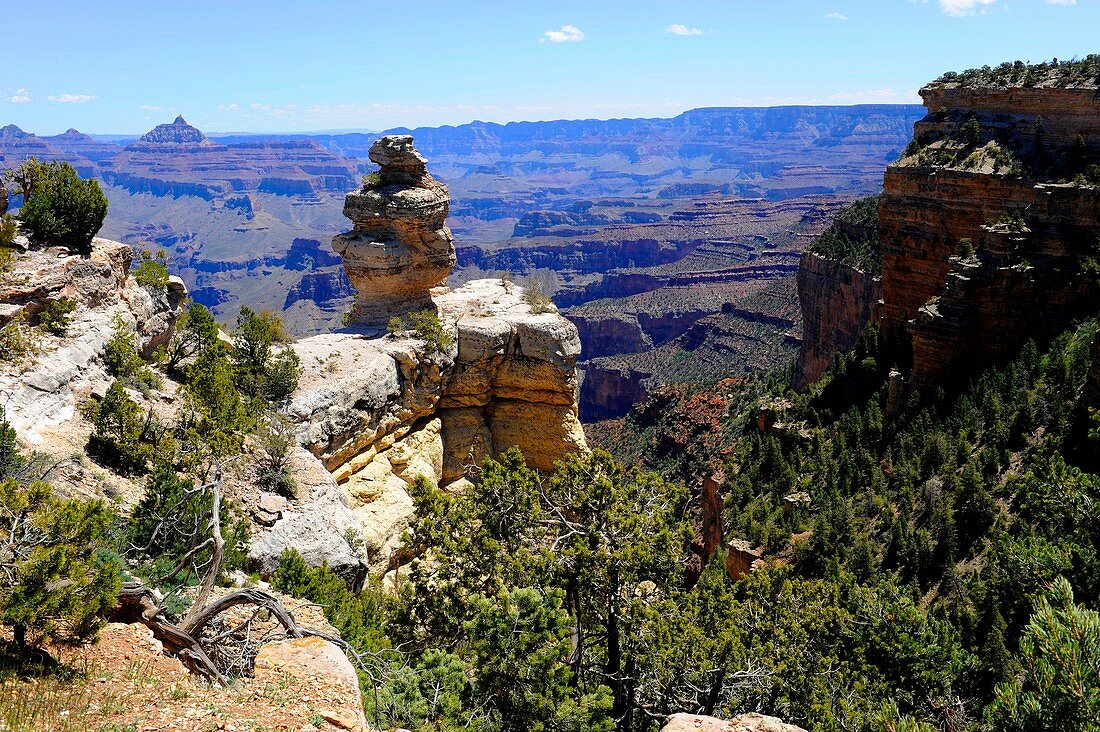 Hoodoos along South Rim Grand Canyon National Park Arizona