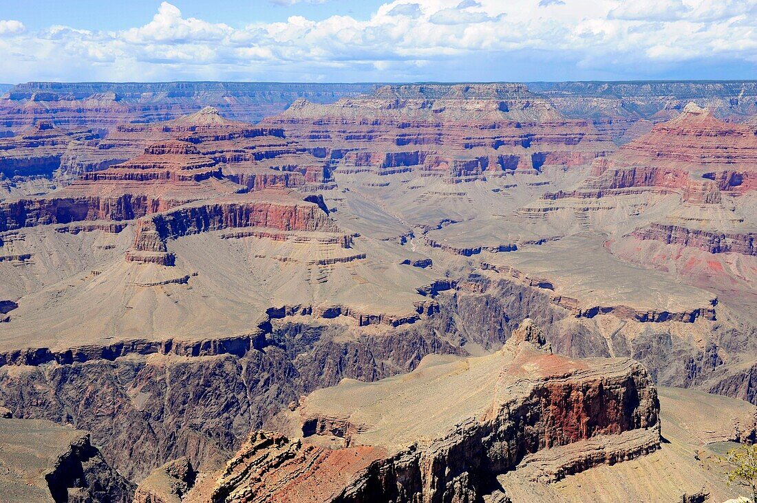 Powell Point Grand Canyon National Park Arizona