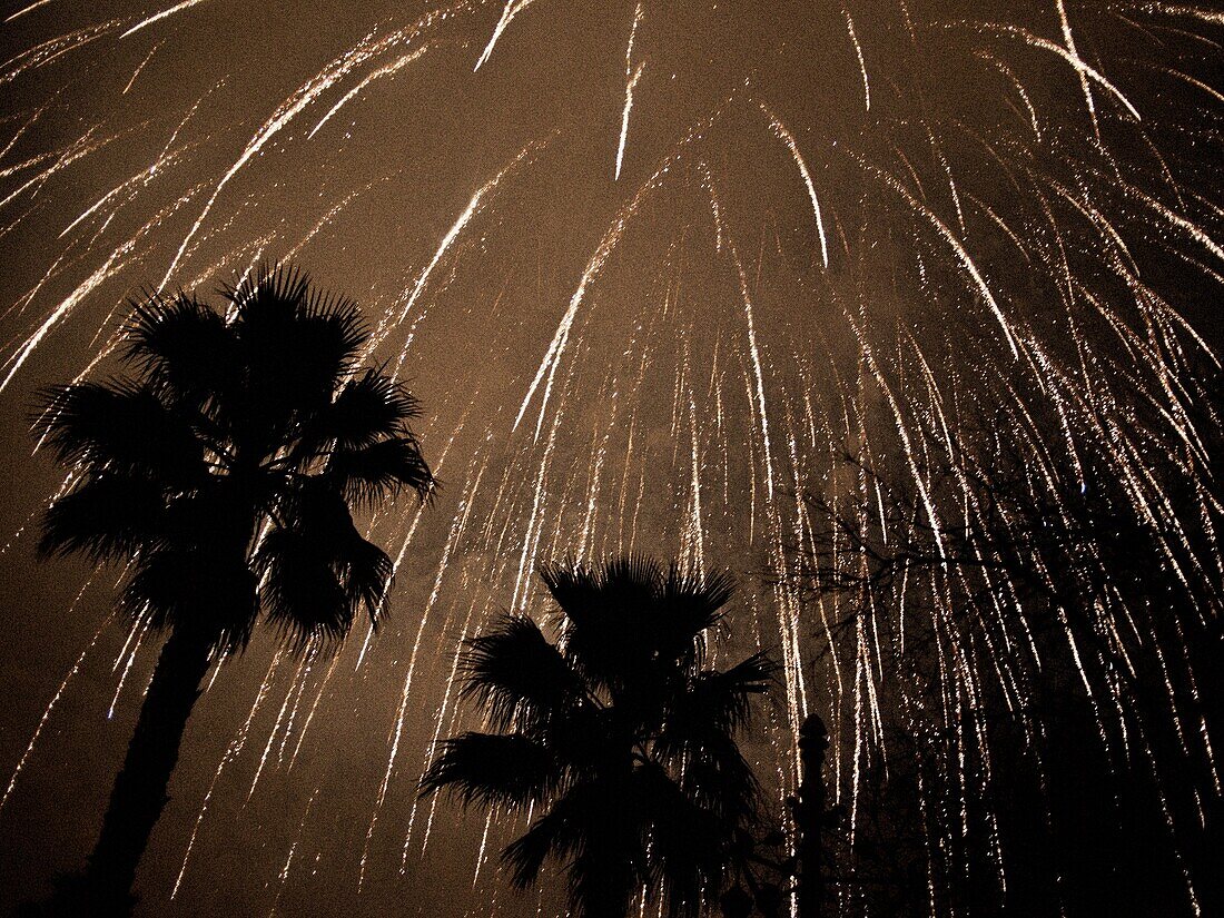 Midnight fireworks in the Turia park (Valencia, Spain)