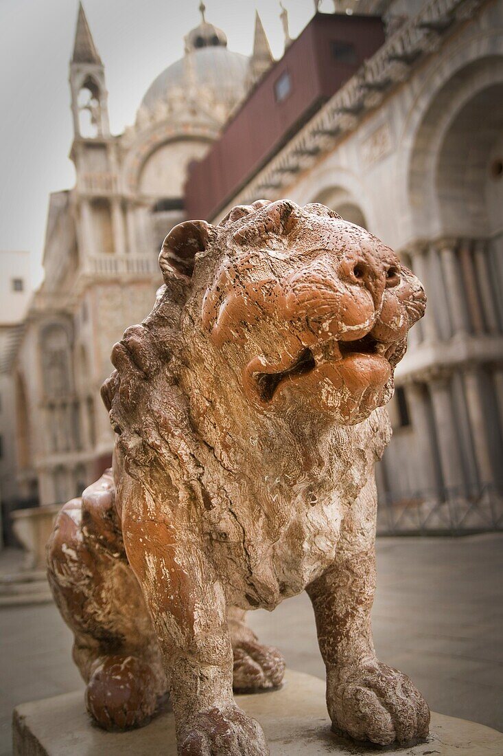 Lion in Piazza San Marco, Venice, Italy