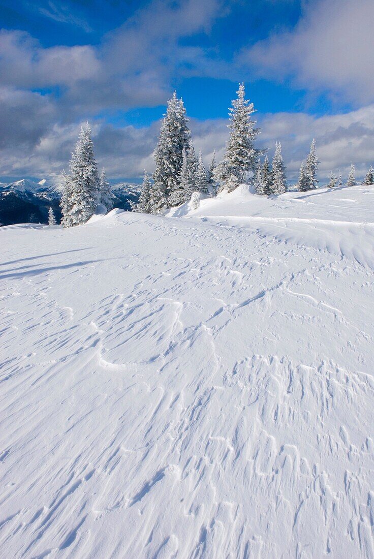 Wind blown snow also called sastrugi on ridge of Big Buck Mountain, Manning Provincial Park British Columbia Canada
