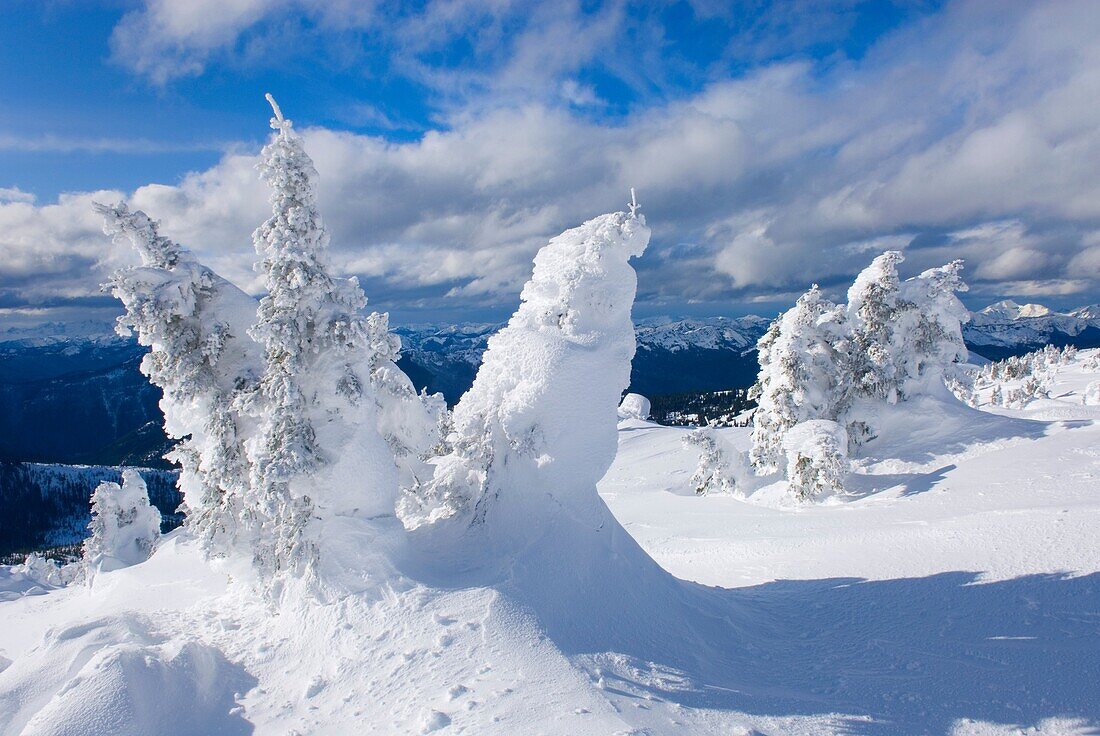 Ice encased trees or Krummholz on the summit of Three Brothers Mountain, Manning Provincial Park British Columbia Canada