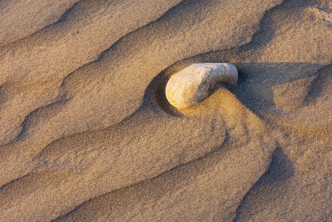 Rock and ripples in sand illuminated in the setting sun