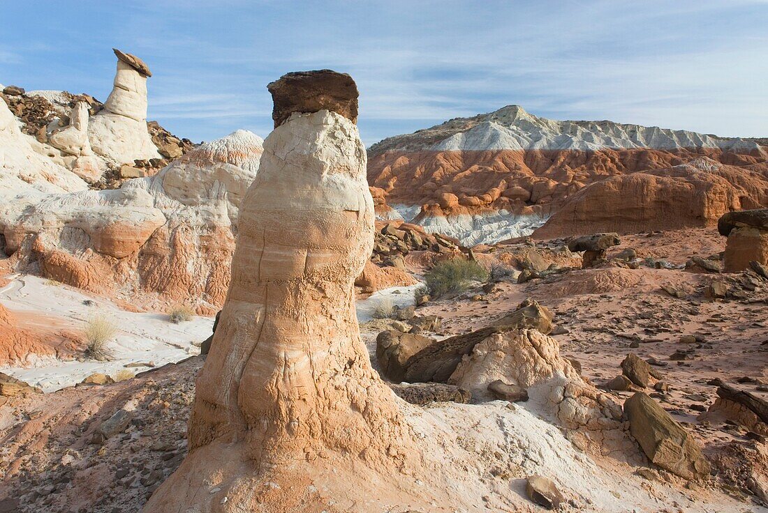 Rimrock Toadstools, Grand Staircase Escalante National Monument Utah