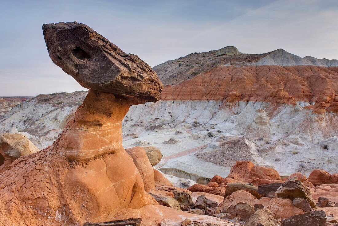 Rimrock Toadstools, Grand Staircase Escalante National Monument Utah