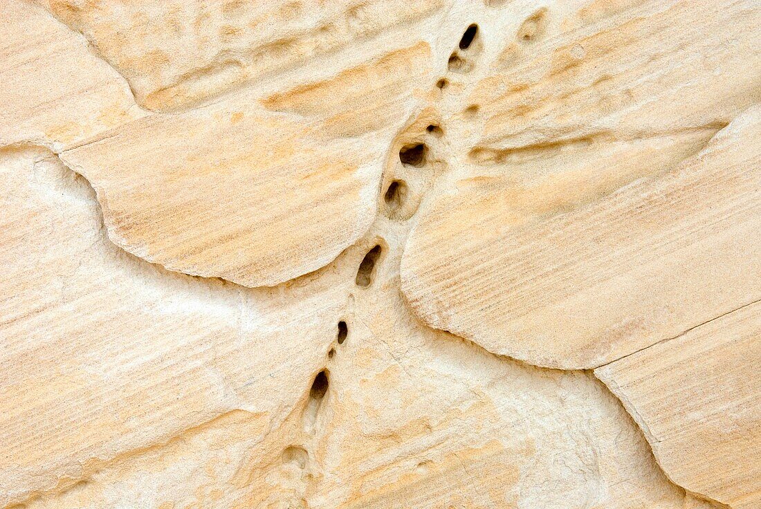 Strange erosion patterns and shapes in white sandstone, Grand Staircase Escalante National Monument Utah