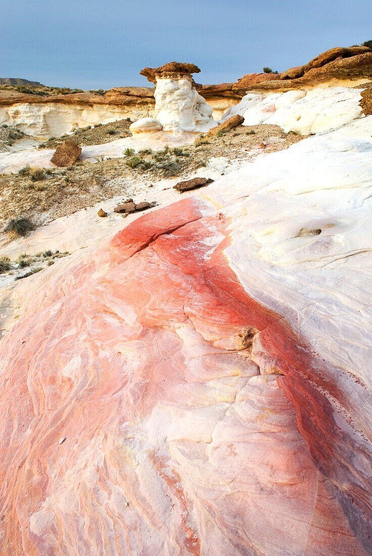 Colorful sandstone rocks and slickrock, White Rocks Hoodoos, Grand Staircase Escalante National Monument Utah