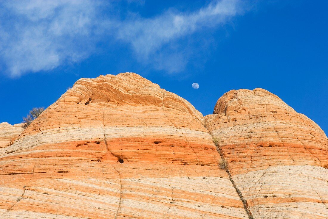 Colorful sandstone slickrock cross-bedding, Vermilion Cliffs Wilderness Utah