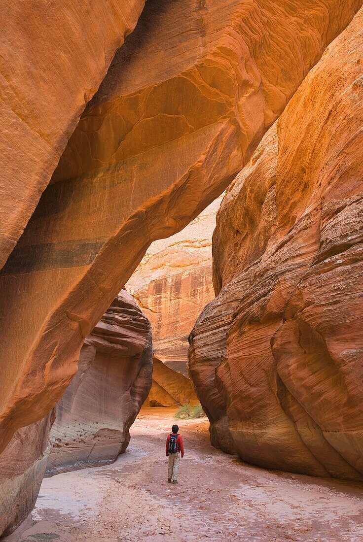 Buckskin Gulch Paria Canyon-Vermilion Cliffs Wilderness Arizona