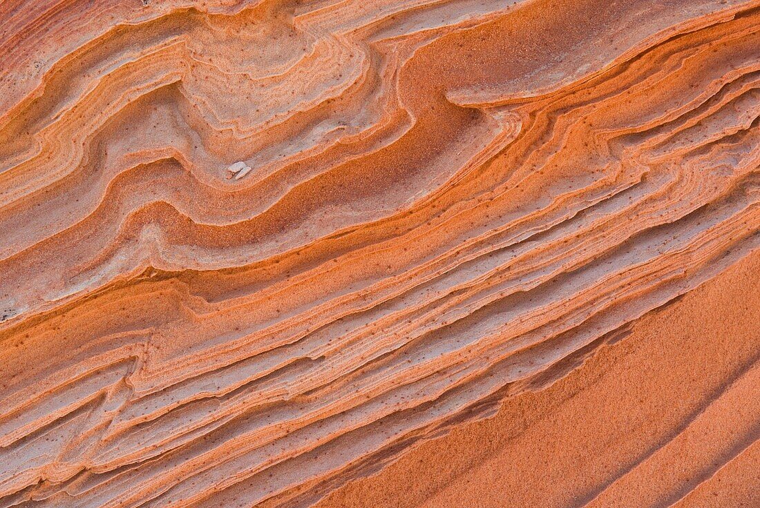 Patterns in layered sandstone, South Coyote Buttes, Vermilion Cliffs Wilderness Utah