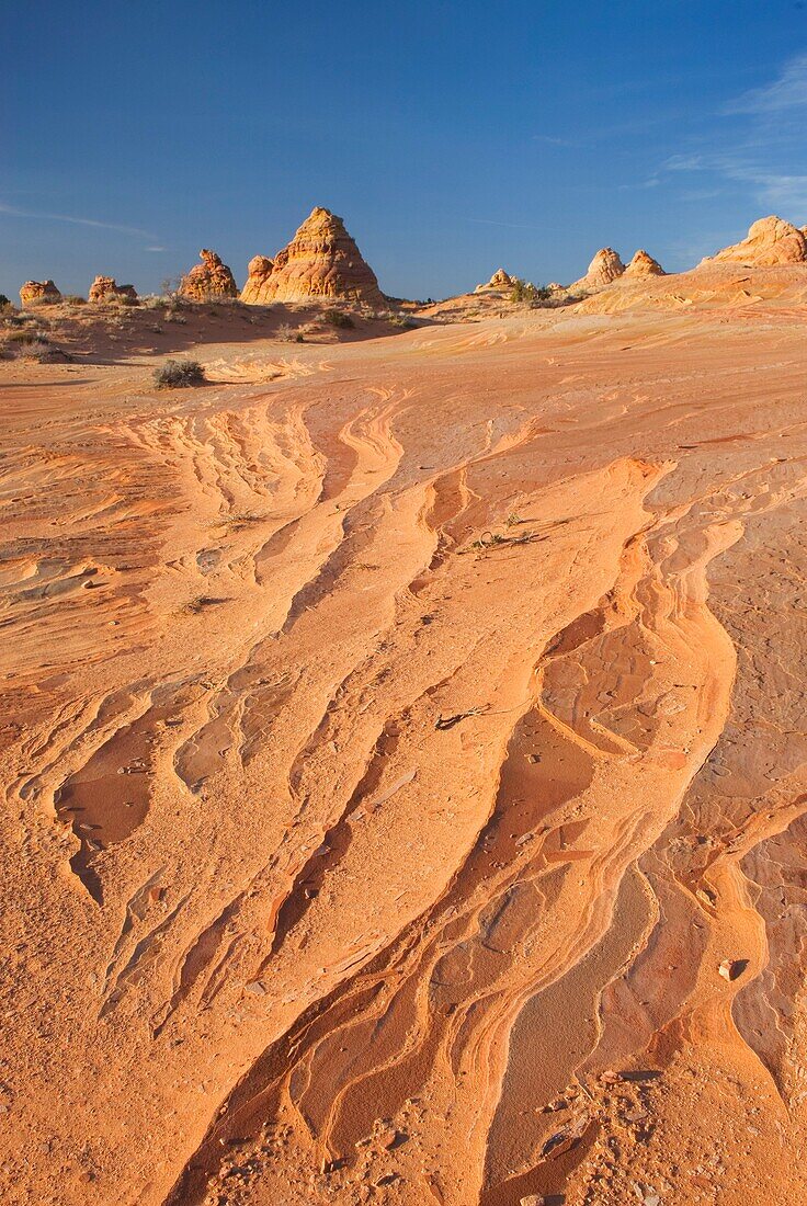 South Coyote Buttes, Vermilion Cliffs Wilderness Utah