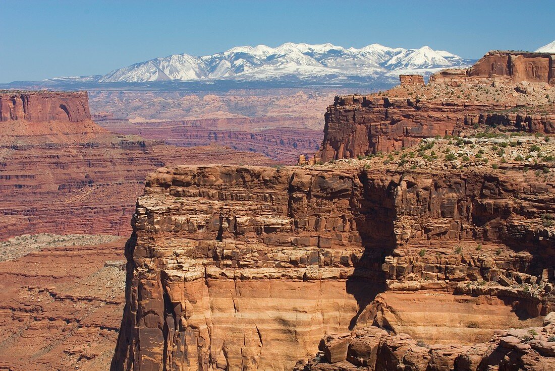 View of the La Sal Mountains from Canyonlands National Park Utah
