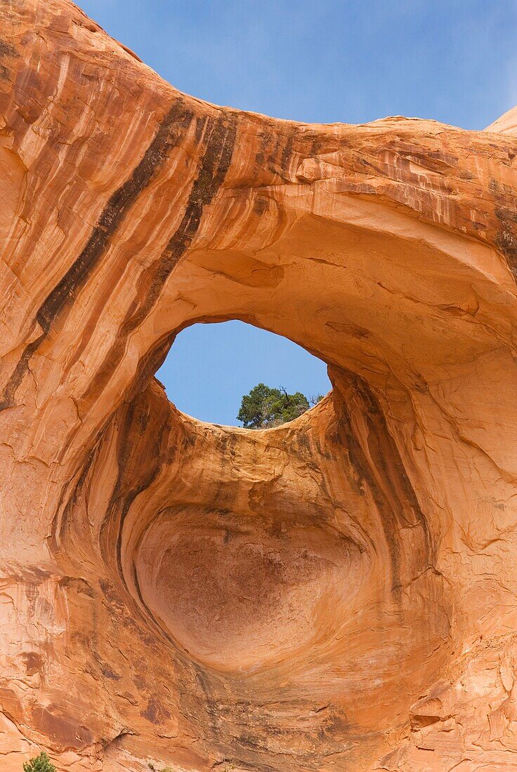 Bowtie Arch near Moab Utah