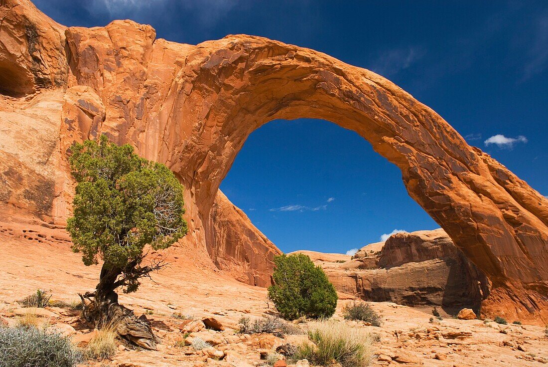 Corona Arch near Moab Utah