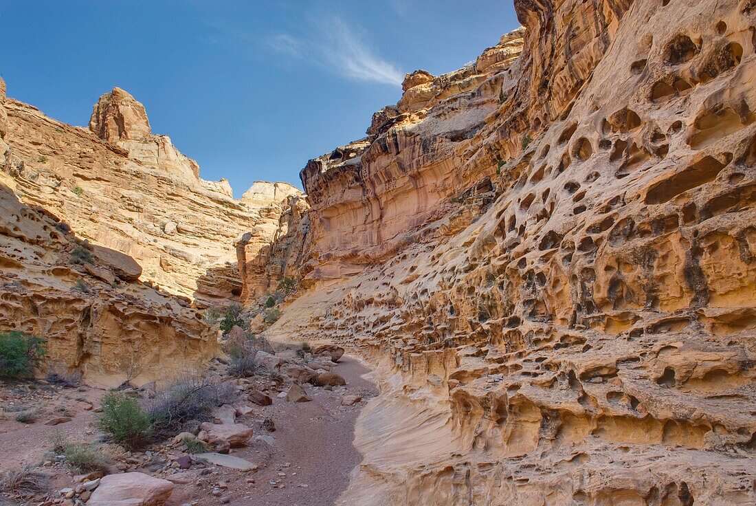 Abgewettert, Anschlagen, Aufwärts, Bildhauer, canyon, Colorado Plateau, Eng, Erosion, Fremd, Gedreht, Gestalt, Knorrig, Oben, Riff, Rock-Formation, San Rafael, Sandstein, Sedimentär, Seltsam, Sensationell, Südwesten, ungewöhnlich, USA, Utah, M28-1151390, 