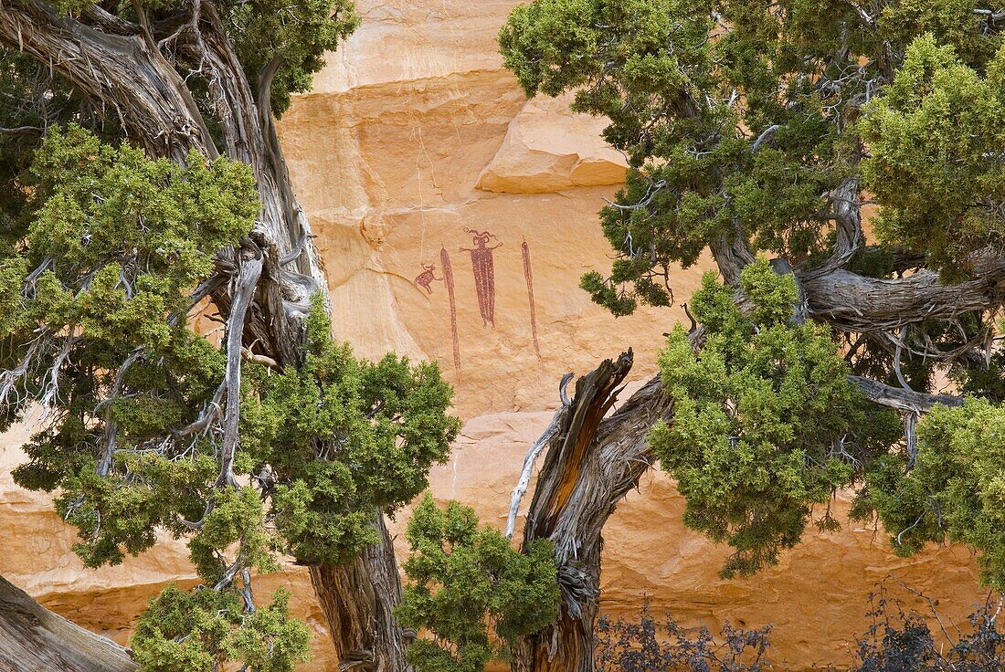 Head of Sinbad barrier style pictographs San Rafael Swell Utah