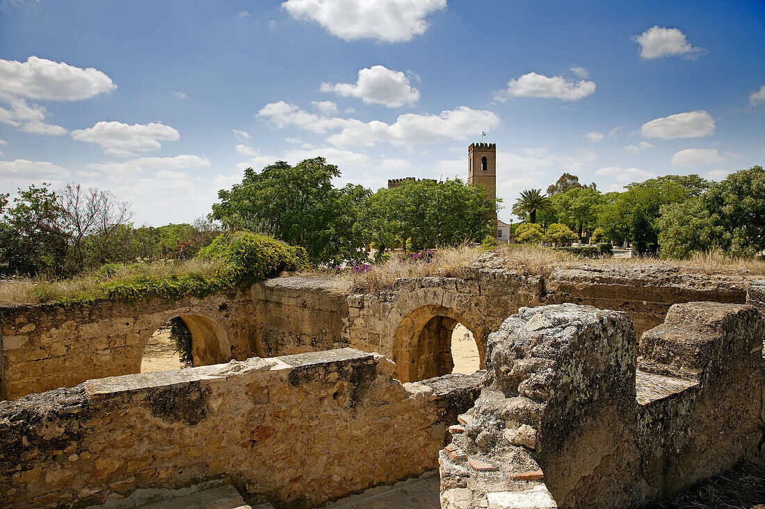 Medieval castle, Alcala de Guadaira, Sevilla province, Andalusia, Spain