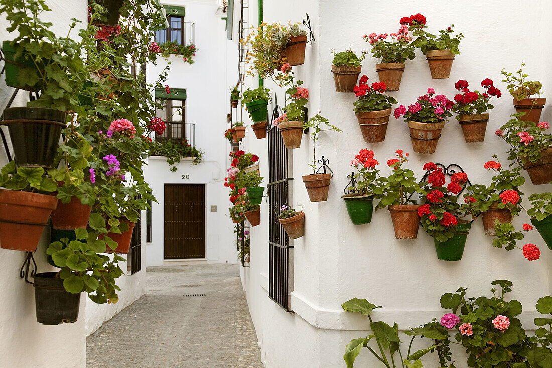 Flowerpots in Barrio de la Villa (old quarter), Priego de Cordoba, Cordoba province, Andalusia, Spain