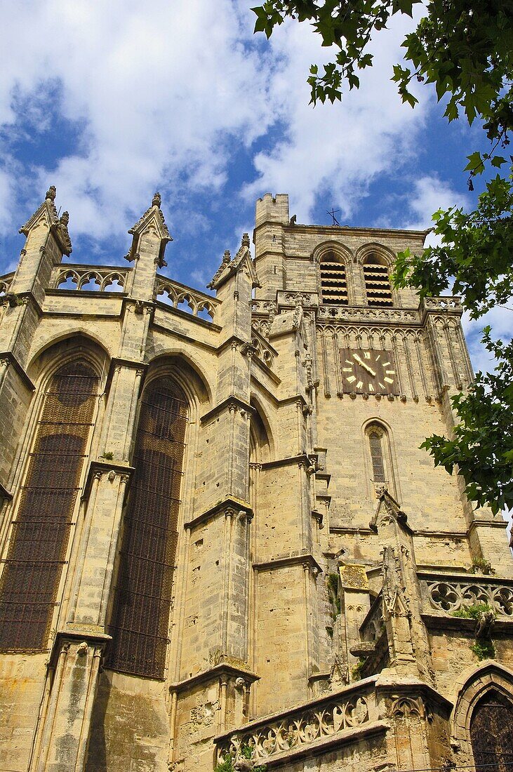 St-Nazaire cathedral XIVth century, Béziers. Hérault, Languedoc-Roussillon Francia
