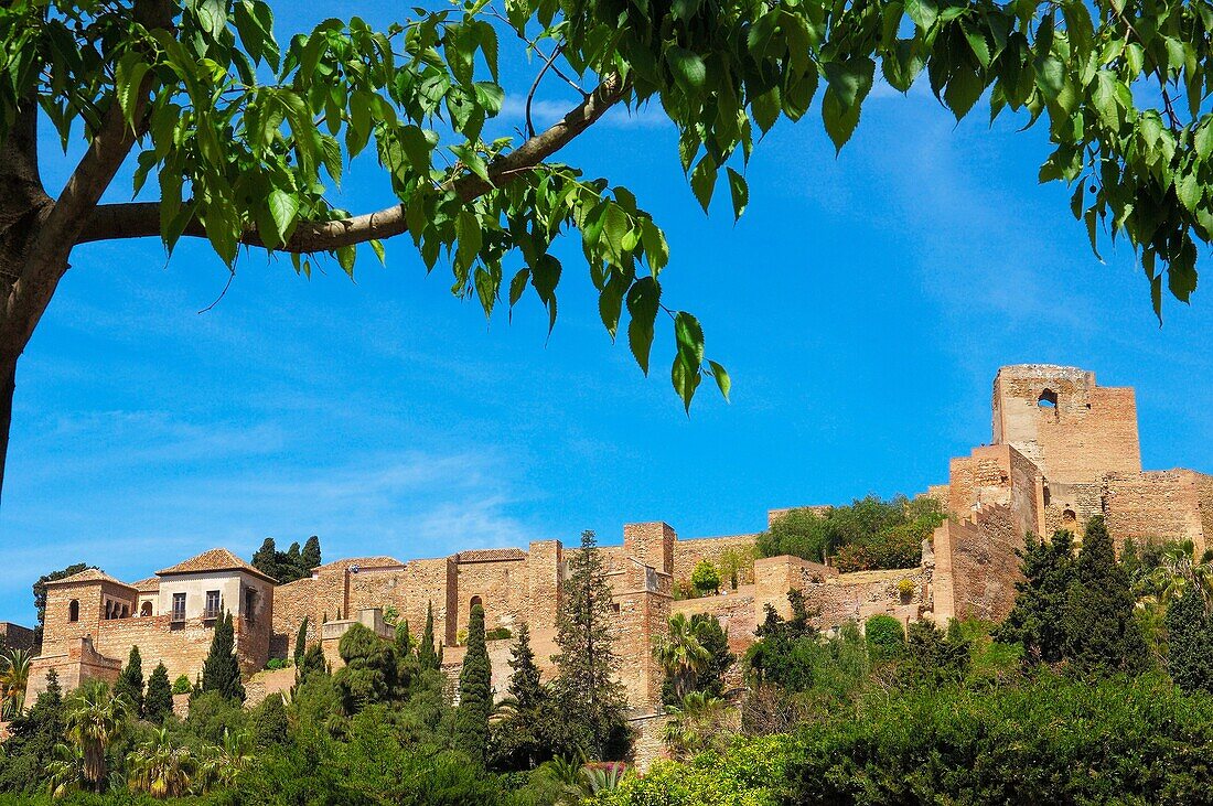 MoorishAlcazaba', Malaga. Costa del Sol, Andalusia, Spain