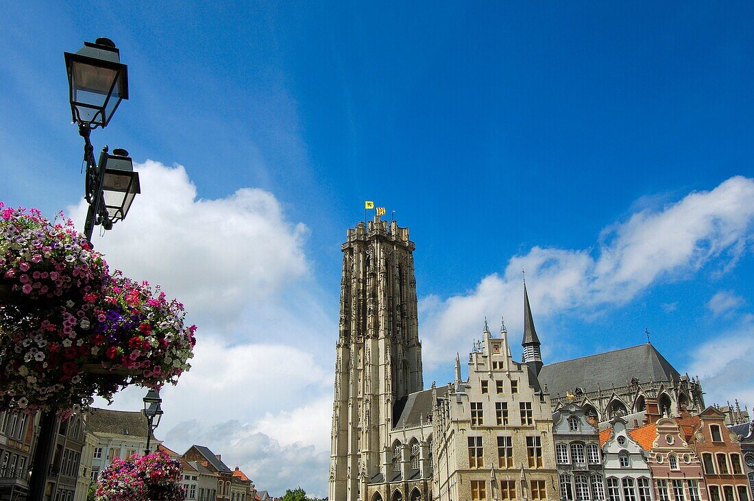 St. Rumbold's Cathedral, Grote Markt, Mechelen. Flemish Region, Belgium