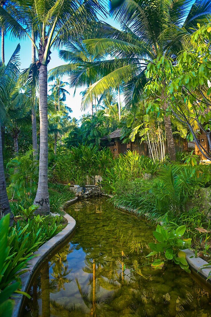 Melati Beach Resort and Spa, Koh Samui island, Gulf of Thailand, Thailand