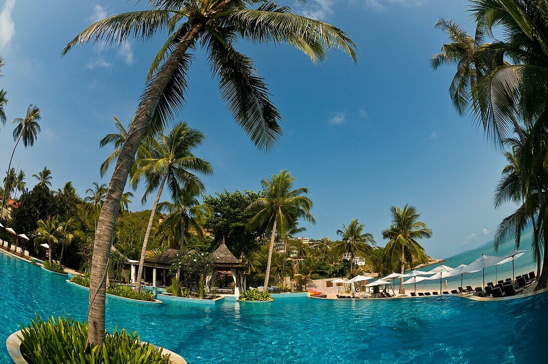 Infinity pool, Melati Beach Resort and Spa, Koh Samui island, Gulf of Thailand, Thailand