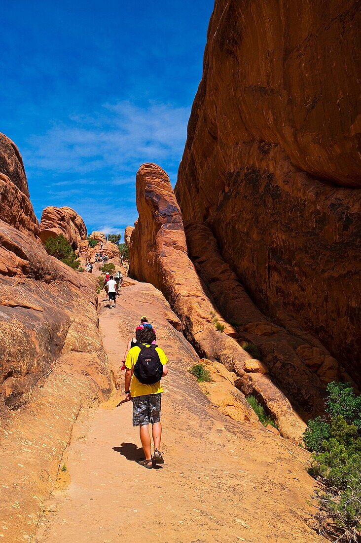 Devils Garden Trail, Arches National Park, near Moab, Utah USA