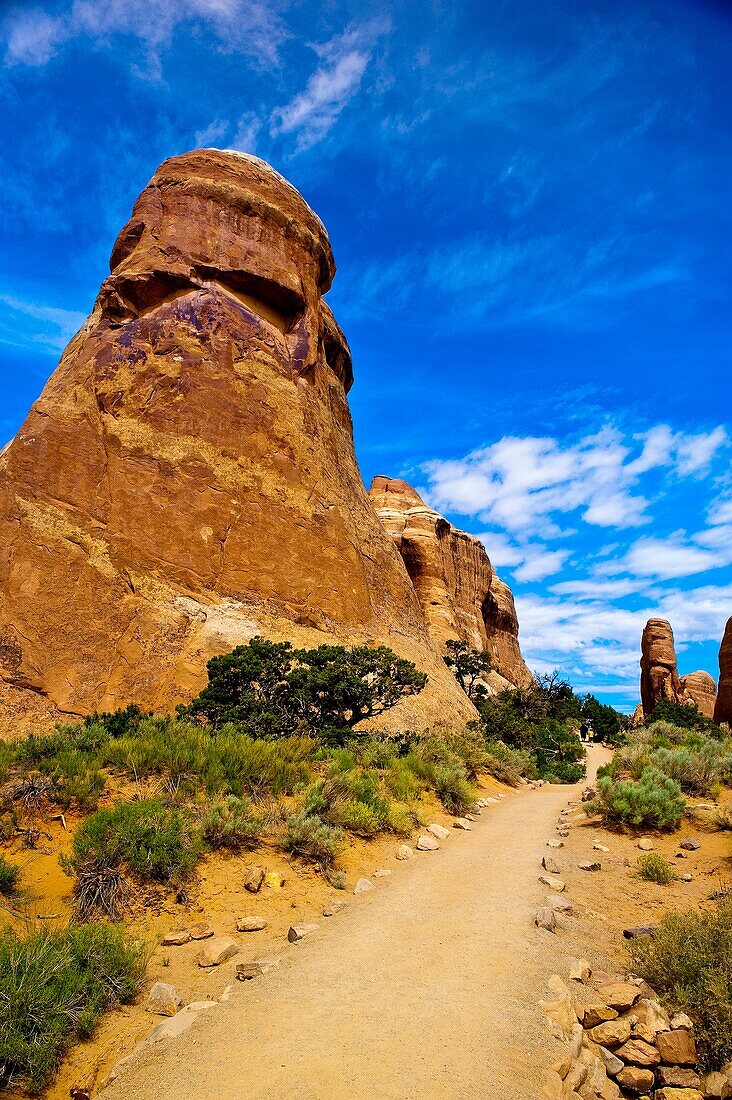 Devils Garden Trail, Arches National Park, near Moab, Utah USA