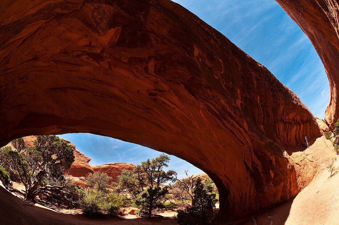 Navajo Arch, Devils Garden Trail, Arches National Park, near Moab, Utah USA