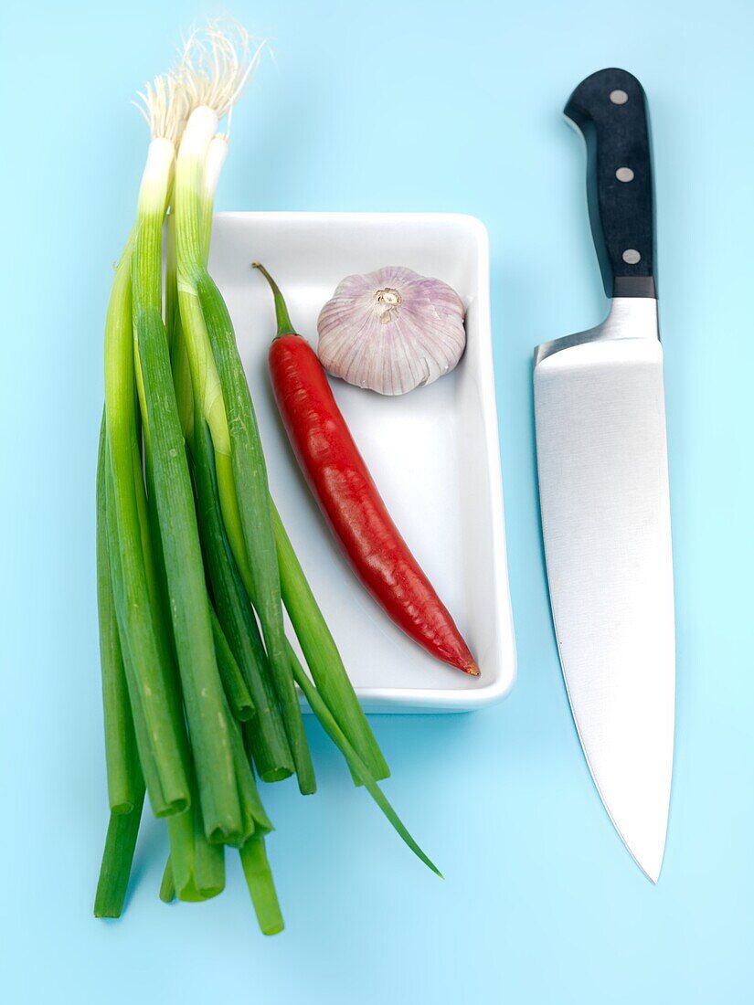 Spring onions, red pepper and garlic isolated against a blue background