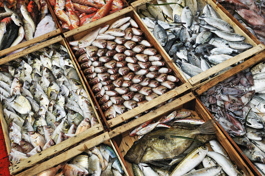 Fish in boxes, Ouranopoli, Chalkidiki, Greece