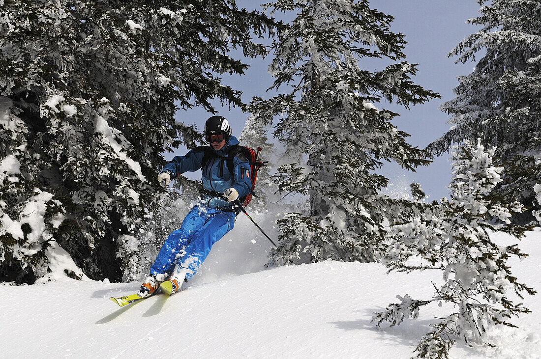 Skier going downhill, ski tour to Dürrnbachhorn, Reit im Winkl, Chiemgau, Upper Bavaria, Germany, Europe