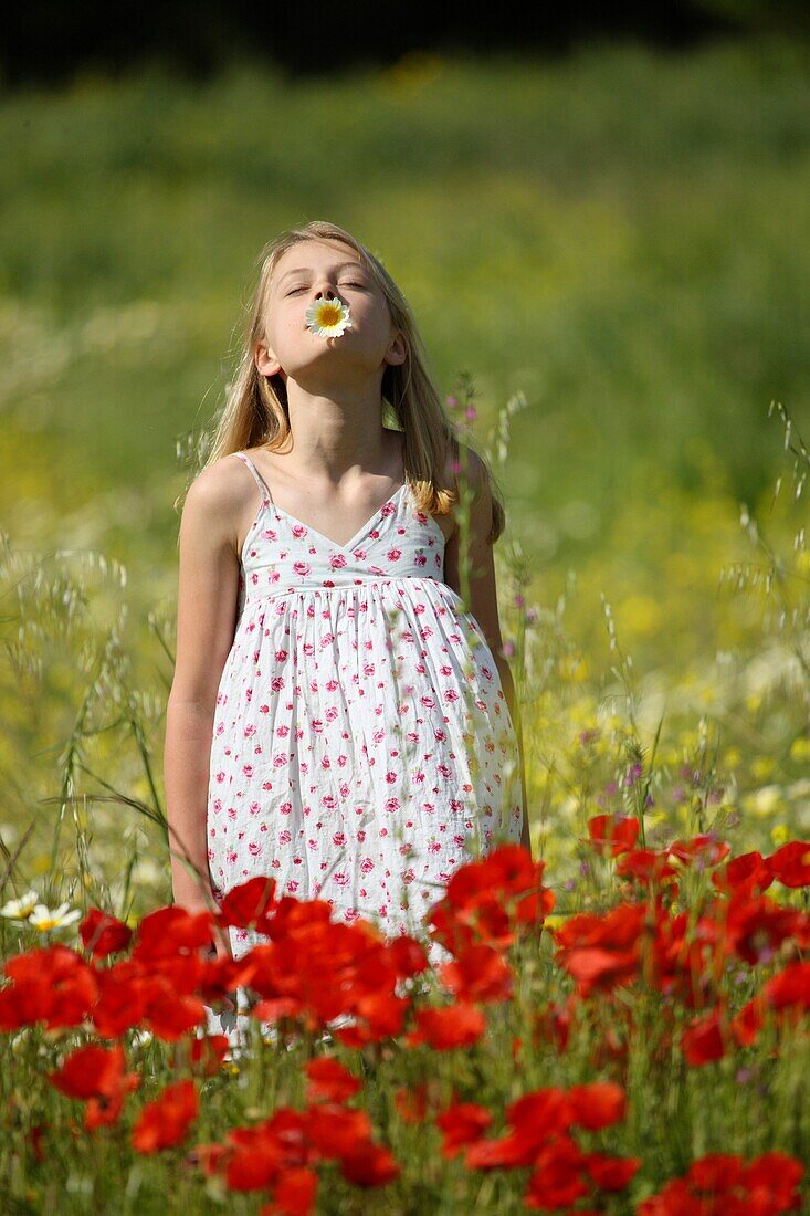 Female, field, flower, girl, spring, young