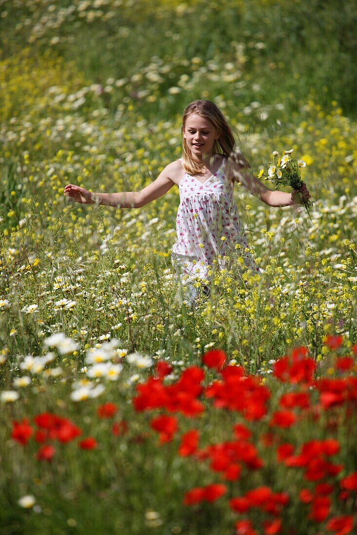 Female, field, flower, girl, spring, young