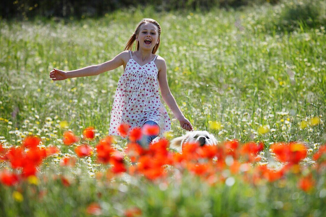 Female, field, flower, girl, spring, young, F57-1148042, AGEFOTOSTOCK