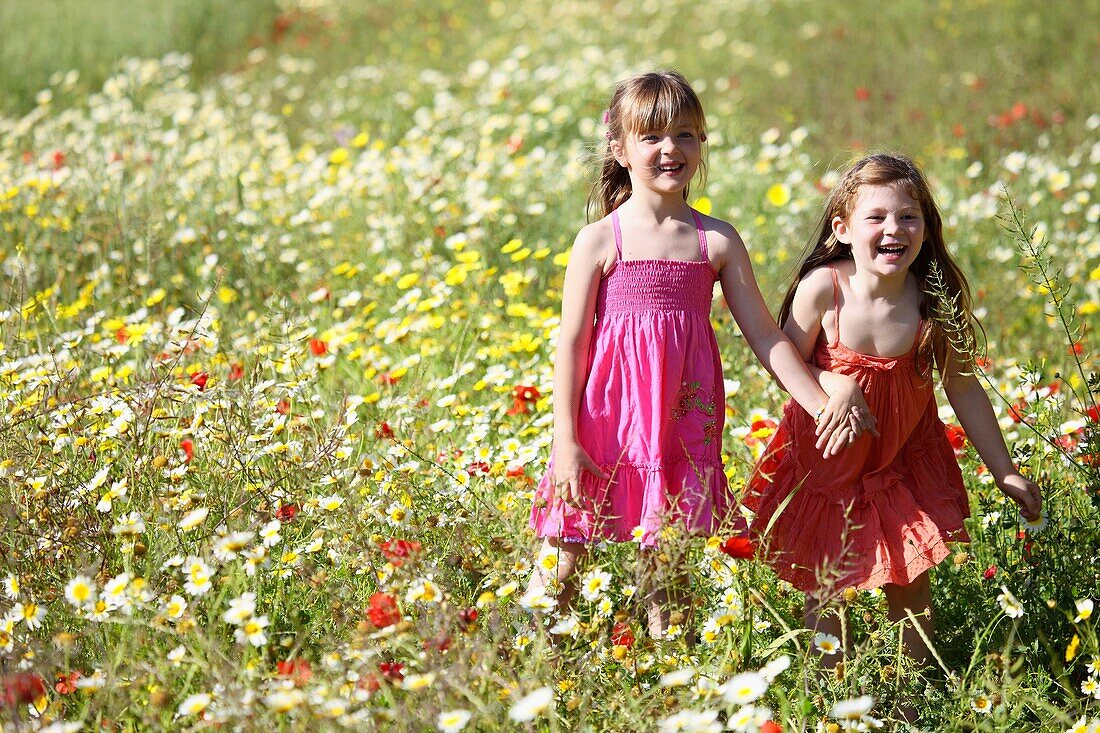 Caucasian ethnicity, child, childhood, Female, field, flower, girl, kid, spring, young, youth, F57-1148260, AGEFOTOSTOCK