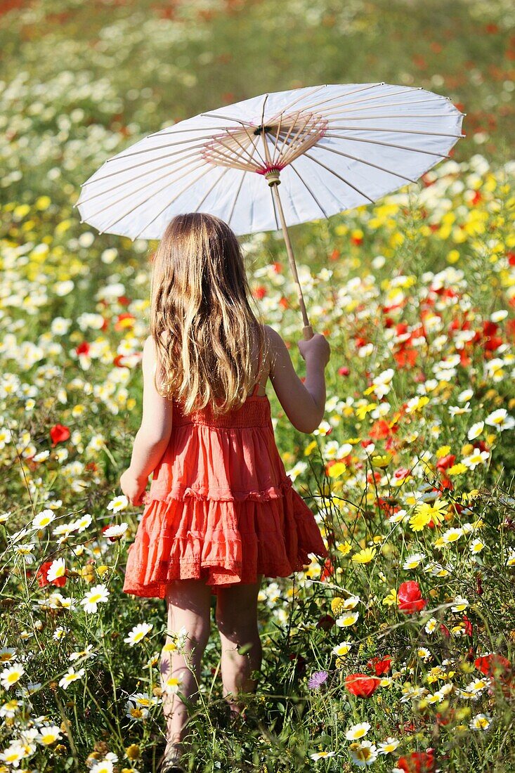 Caucasian ethnicity, child, childhood, Female, field, flower, girl, kid, spring, young, youth, F57-1148254, AGEFOTOSTOCK