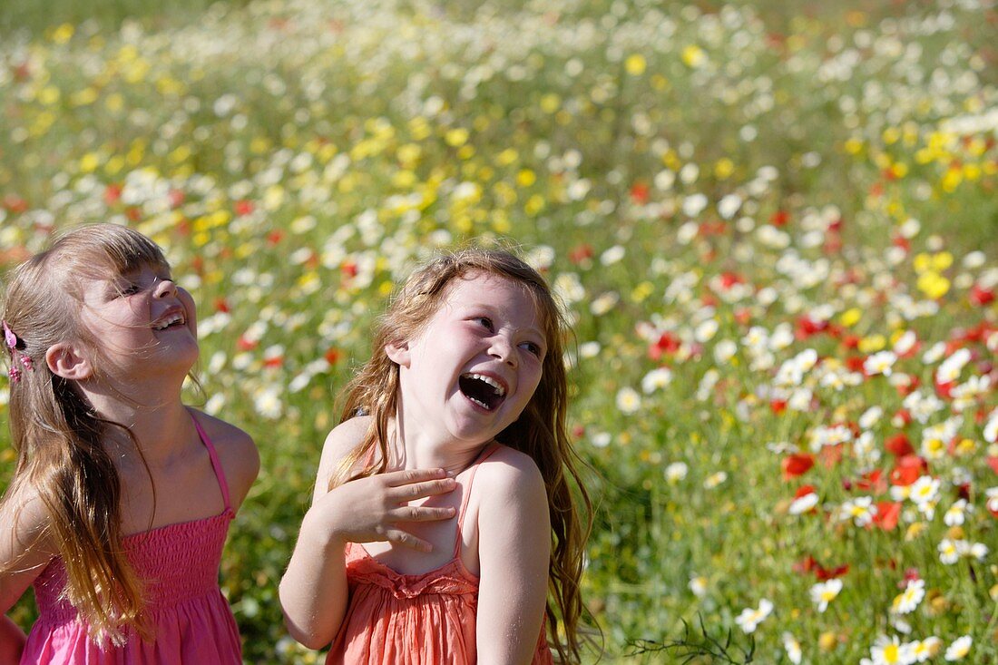 Blume, Feld, Frühling, Jugend, jung, Kaukasische Rasse, Kind, Kindheit, Mädchen, Weiblich