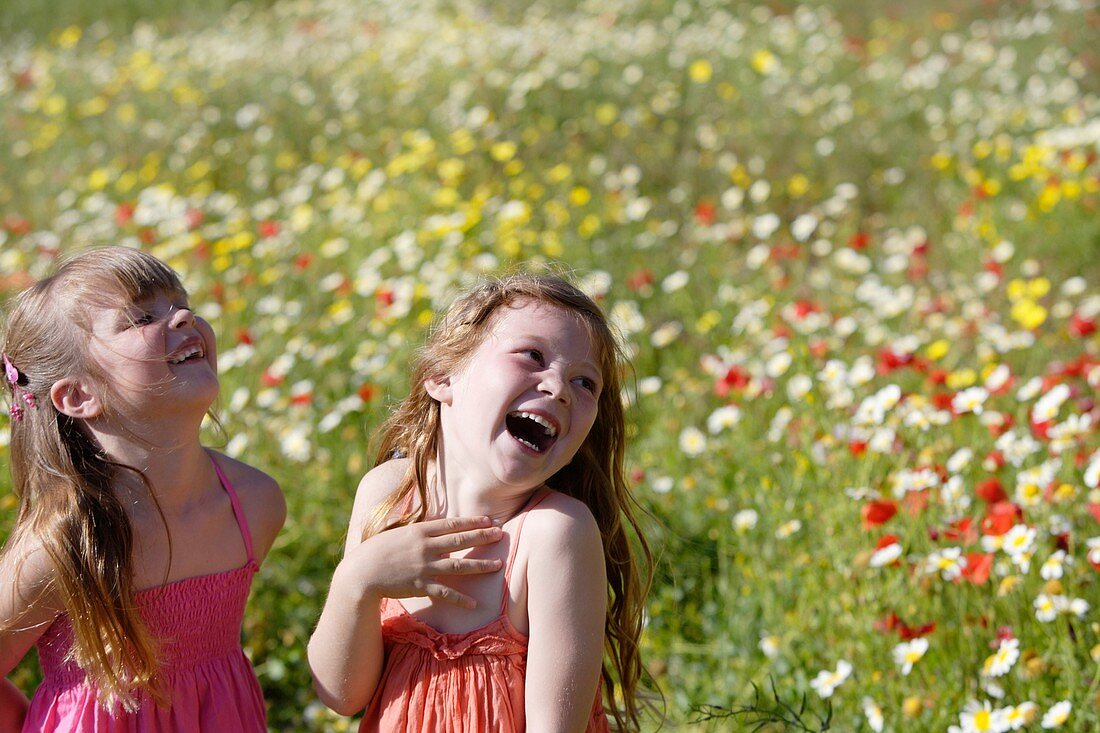 Caucasian ethnicity, child, childhood, Female, field, flower, girl, kid, spring, young, youth, F57-1148989, AGEFOTOSTOCK