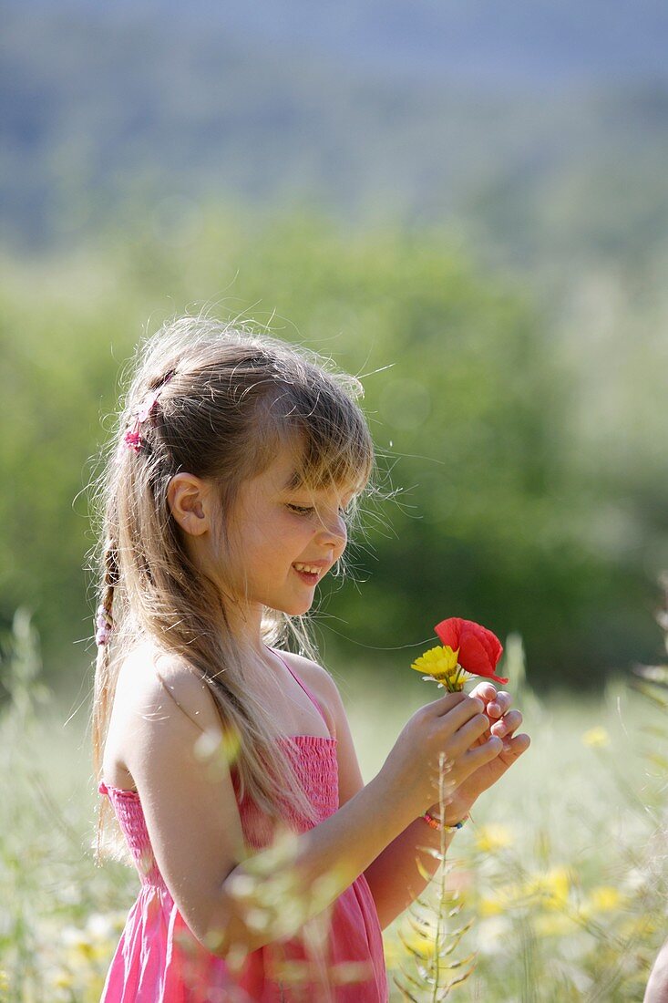 Caucasian ethnicity, child, childhood, Female, field, flower, girl, kid, spring, young, youth, F57-1148962, AGEFOTOSTOCK