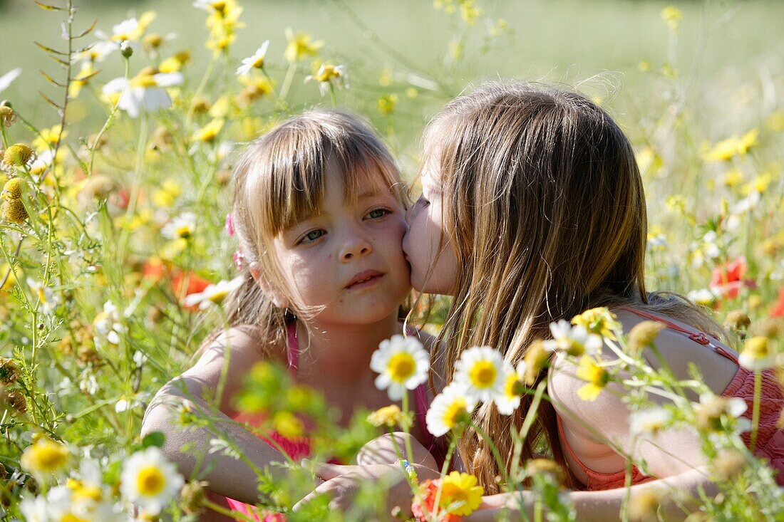 Blume, Feld, Frühling, Jugend, jung, Kaukasische Rasse, Kind, Kindheit, Mädchen, Weiblich