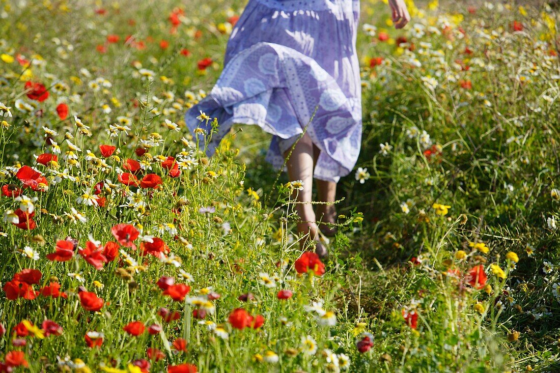 Caucasian ethnicity, child, childhood, Female, field, flower, girl, kid, spring, young, youth, F57-1149192, AGEFOTOSTOCK